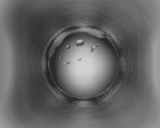 X0000112940400200908311453