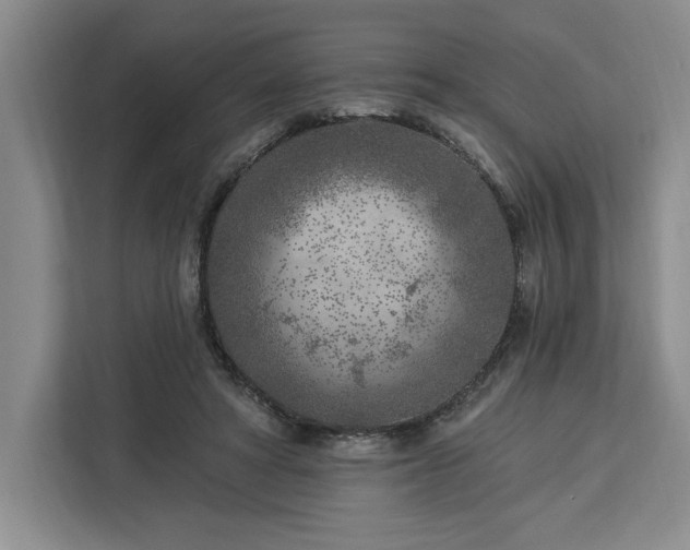 X0000112940402200908311453