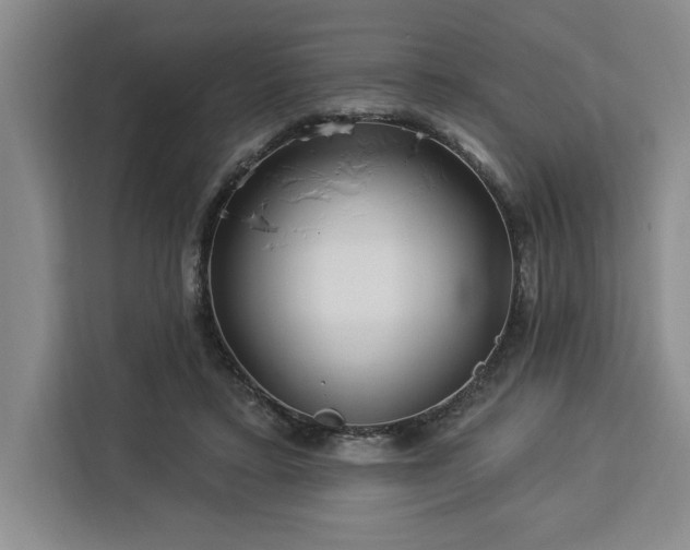 X0000112940403200908311453