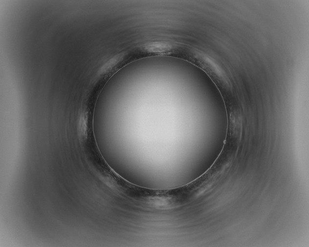 X0000112940404200908311453