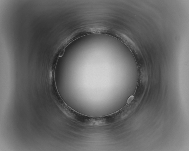 X0000112940405200908311453