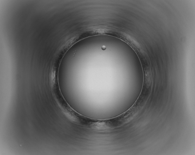 X0000112940406200908311453