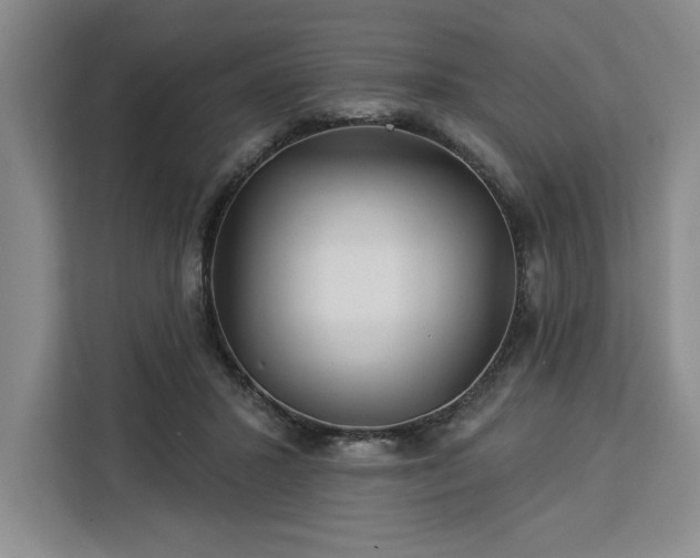 X0000112940407200908311453