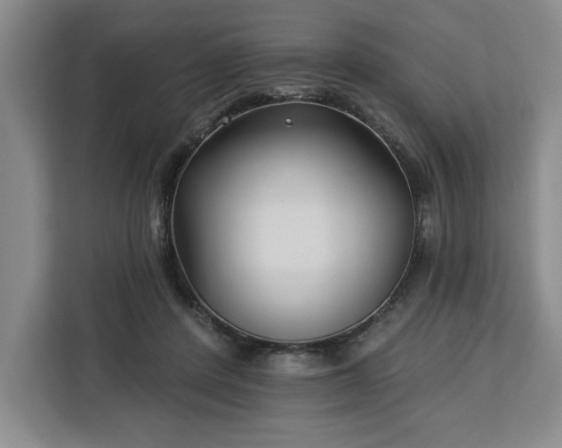 X0000112940408200908311453