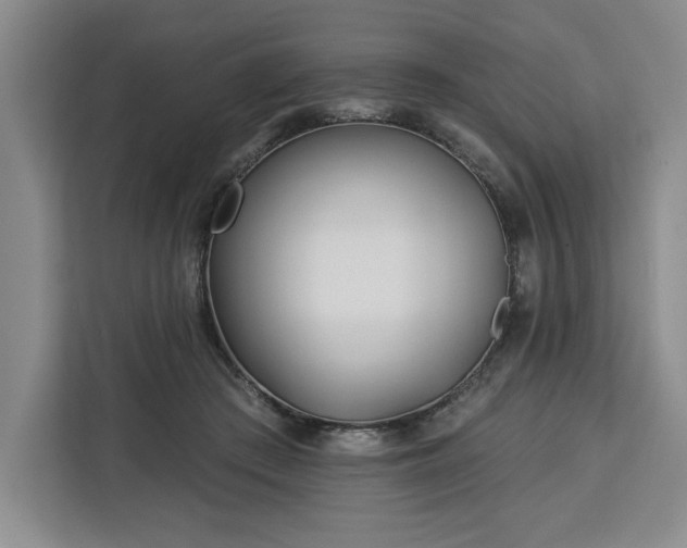 X0000112940409200908311453