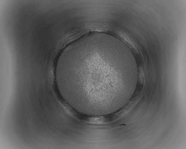 X0000112940410200908311453