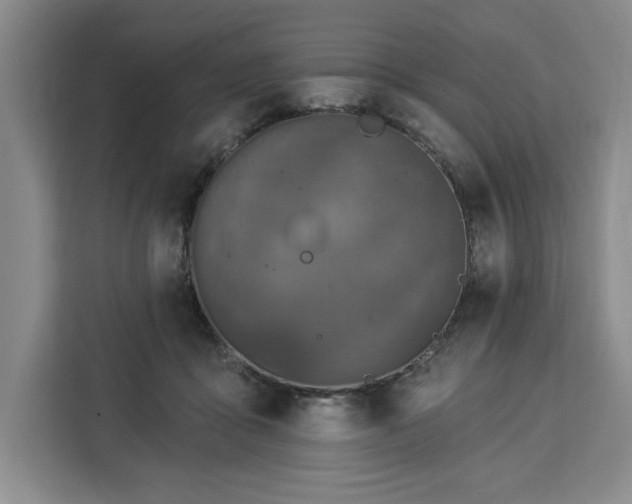 X0000112940411200908311453