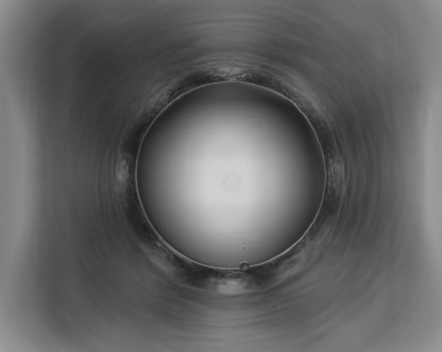 X0000112940412200908311453