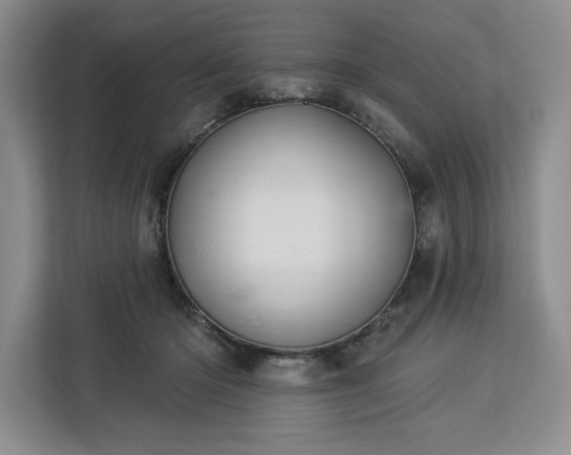 X0000112940414200908311453