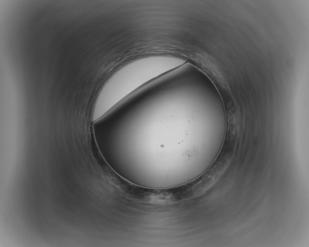 X0000112940415200908311453