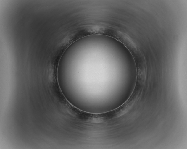 X0000112940416200908311453