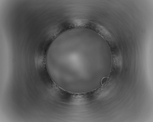 X0000112940419200908311453