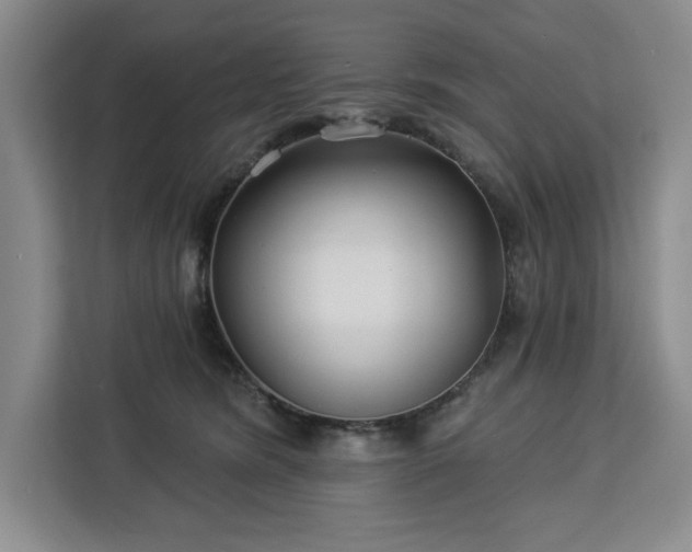 X0000112940420200908311453