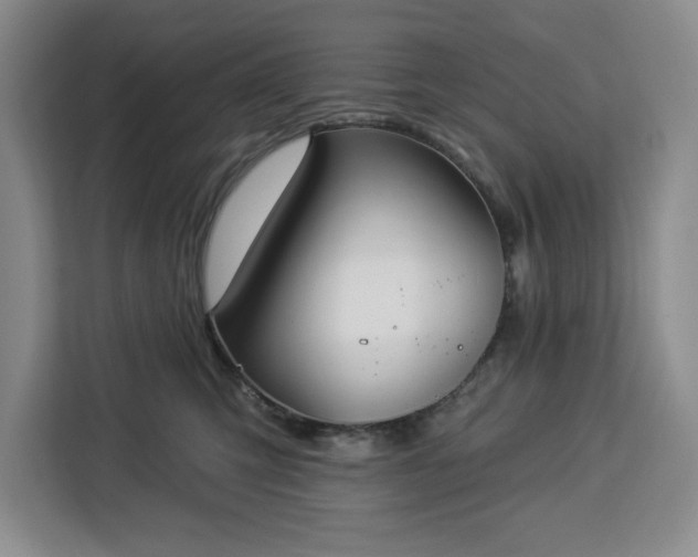 X0000112940423200908311453