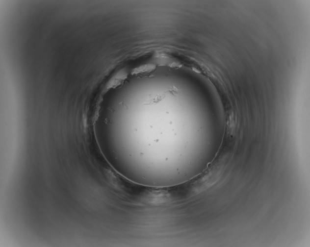 X0000112940424200908311453