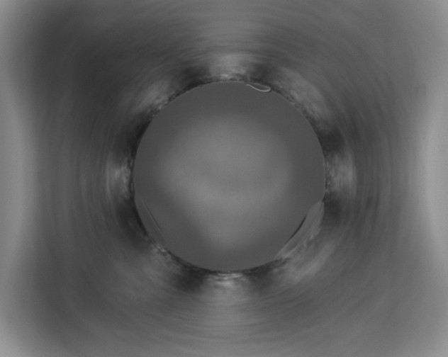 X0000112940427200908311453