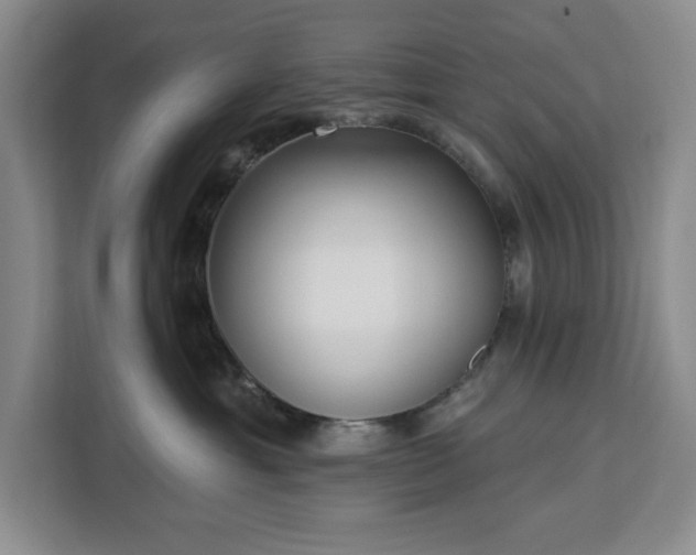 X0000112940429200908311453