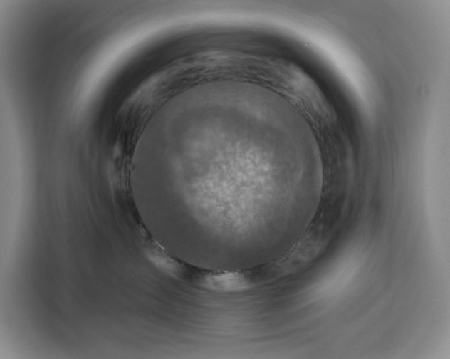 X0000112940431200908311453