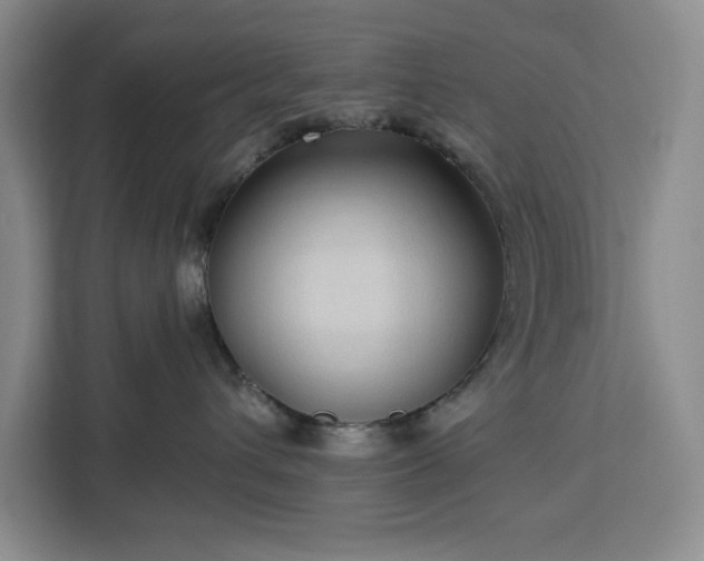 X0000112940432200908311453