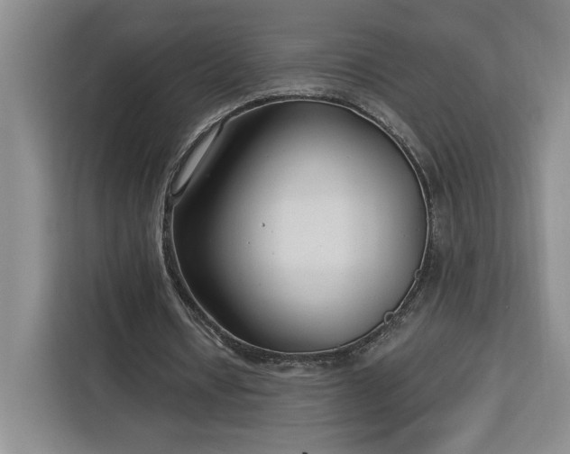 X0000112940434200908311452