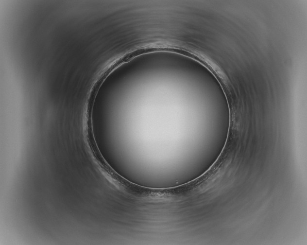 X0000112940437200908311452