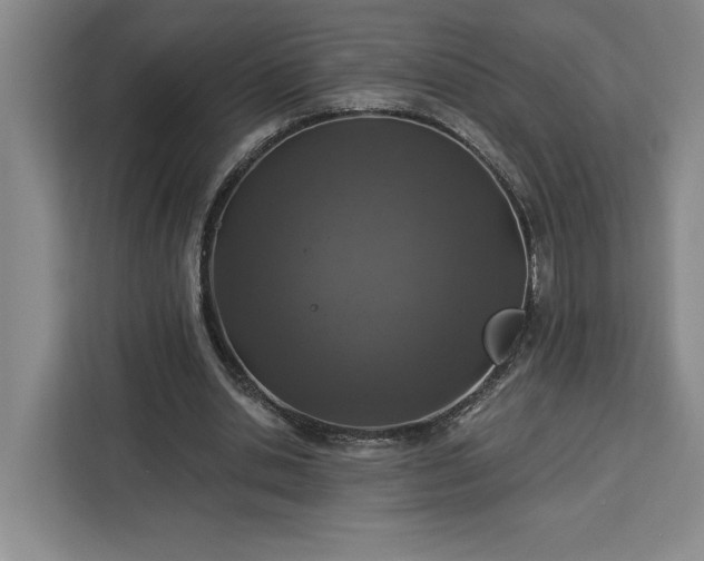 X0000112940438200908311452