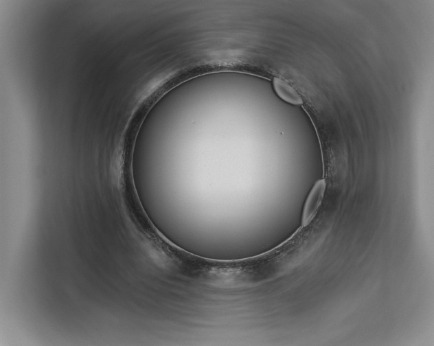 X0000112940440200908311452