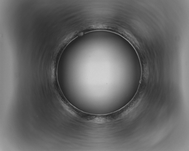 X0000112940441200908311452