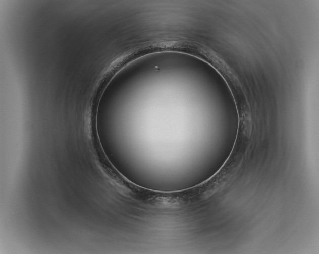 X0000112940442200908311452