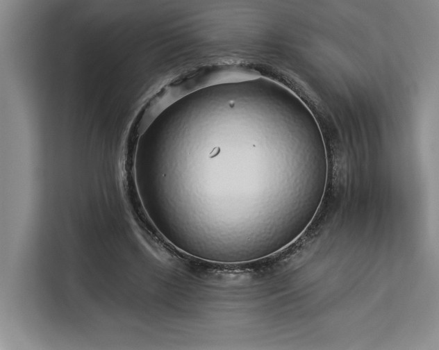 X0000112940443200908311452