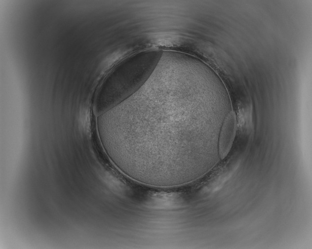 X0000112940444200908311452