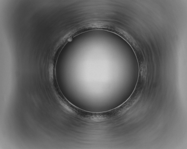 X0000112940445200908311452