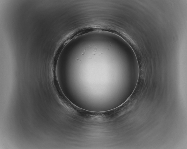 X0000112940446200908311452