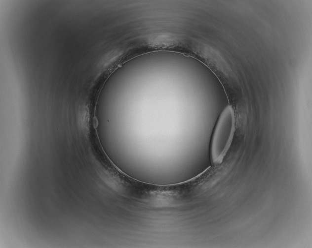 X0000112940448200908311452