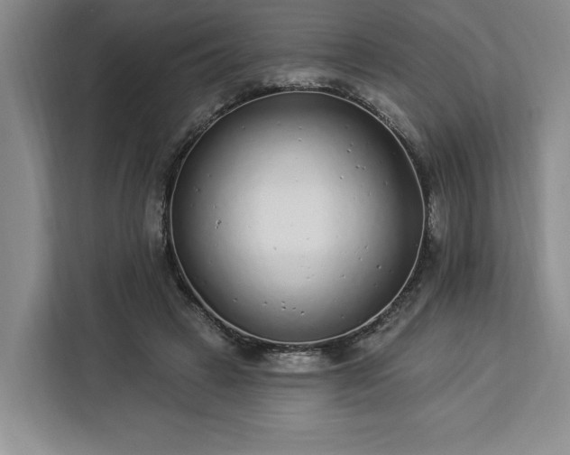 X0000112940449200908311452