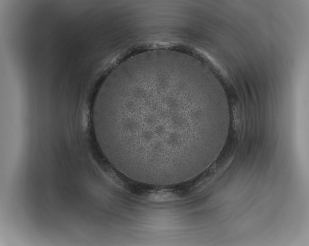 X0000112940451200908311452