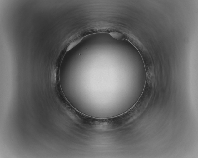 X0000112940454200908311452