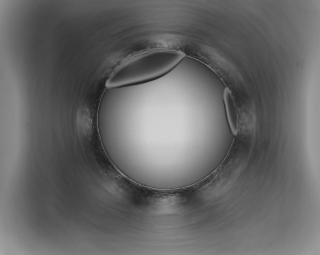 X0000112940456200908311452