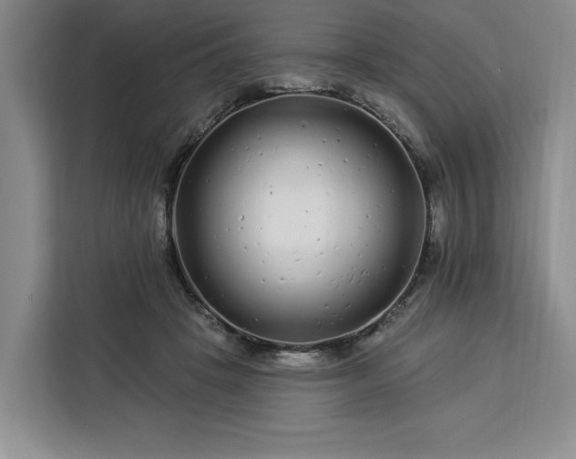 X0000112940457200908311452