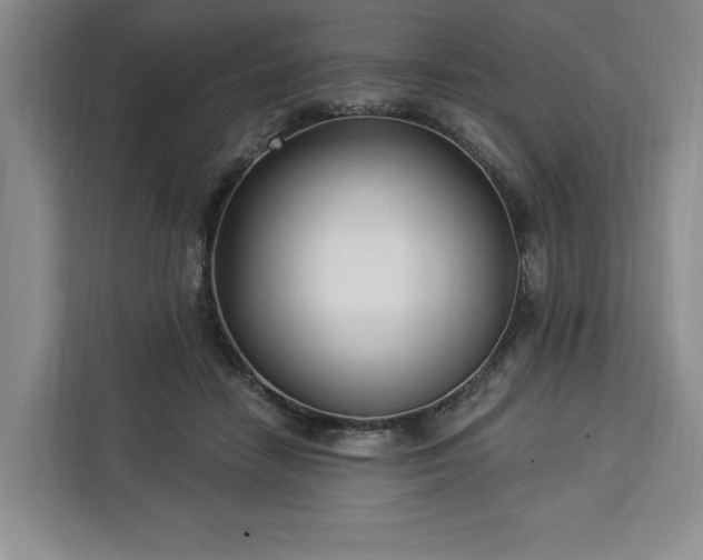 X0000112940458200908311452