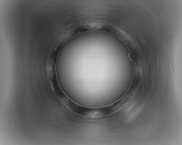 X0000112940460200908311452