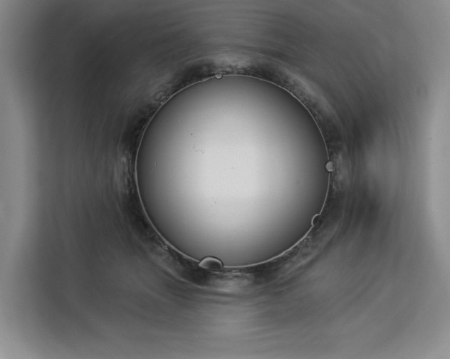 X0000112940463200908311452