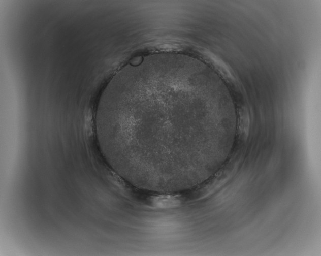 X0000112940465200908311452