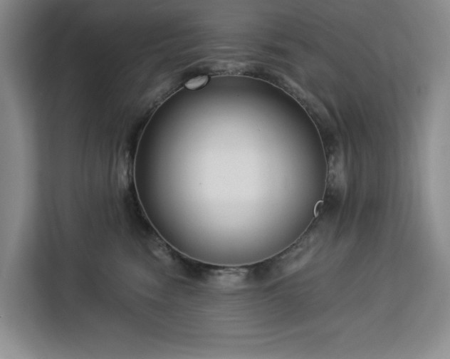 X0000112940474200908311453