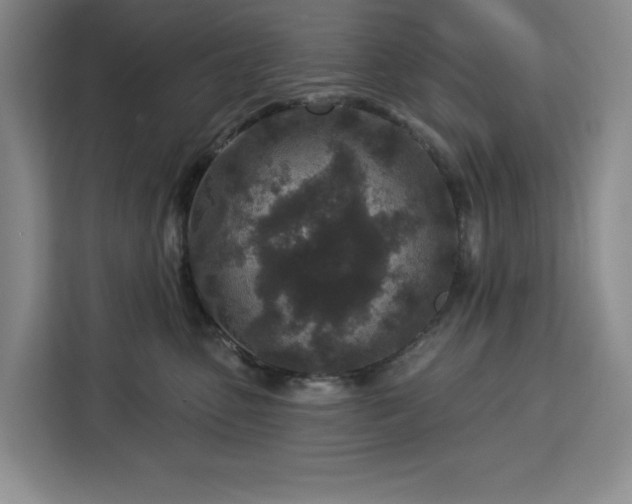 X0000112940475200908311453