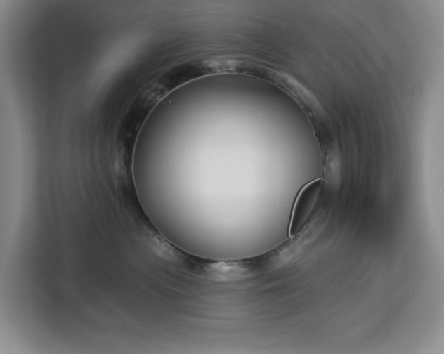 X0000112940477200908311453