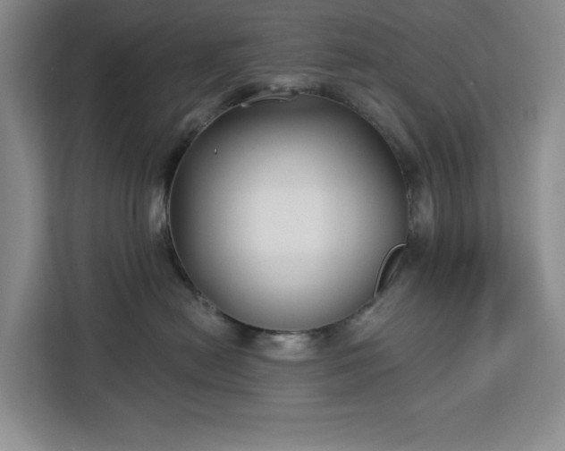 X0000112940478200908311453