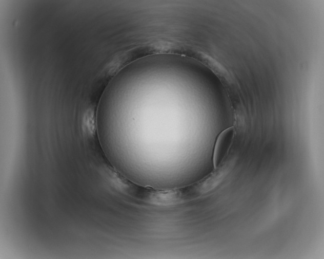 X0000112940479200908311453