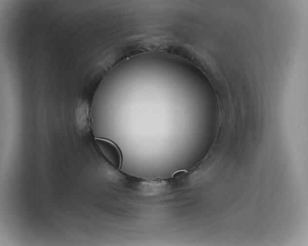 X0000112940480200908311453