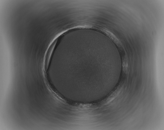 X0000112940484200908311452